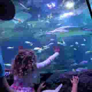 Holiday Inn Express Manchester Salford Quay, 1 of 5