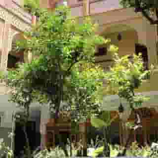 Riad Les Chrifis, 2 of 5