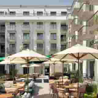 Schwan Locke, Landwehrstrasse, 1 of 5