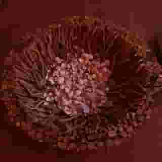 Flair Hotel Sonnenhof, 2 of 5