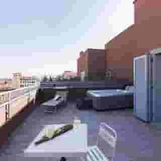 Agave in citta, 3 of 5