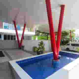 Samui Verticolor, 2 of 5