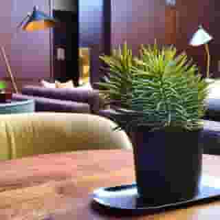 Tryp De Saxe, 6 of 6