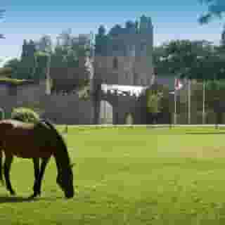 Castlemartyr Resort, 3 of 5