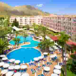 Viva Sunrise, 1 of 5