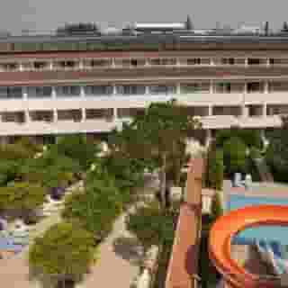 Catty Cats Garden Hotel, 6 of 6