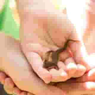 Radisson Blu Hotel & Spa, Limerick, 2 of 5