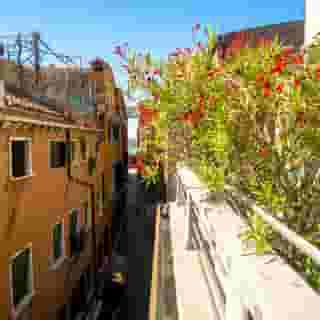 Antigo Trovatore, 1 of 5