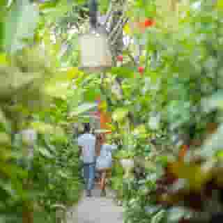 Ini Vie Villa, 4 of 5
