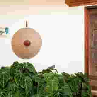 Tandjung Sari, 1 of 5