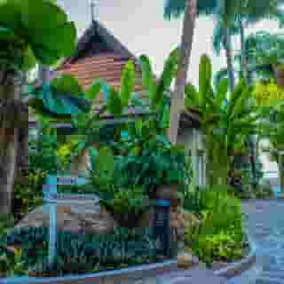 Samui Natien Beach Resort, 3 of 5