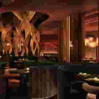 Fontainebleau Las Vegas - Adults-Only, 4 of 5