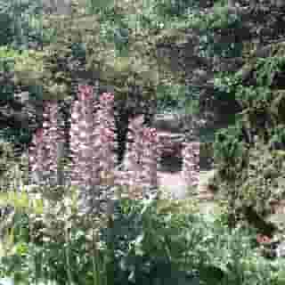 Chambre Du Jardin Fleuri, 4 of 5