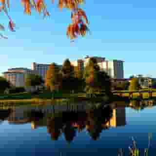 Rosen Shingle Creek, 4 of 5