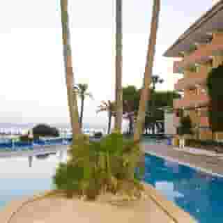 Paraiso de Alcudia, 2 of 5