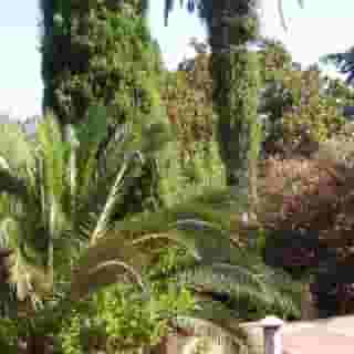 Hotel Vimbula, 6 of 6