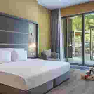 Nirvana Cosmopolitan, 3 of 5