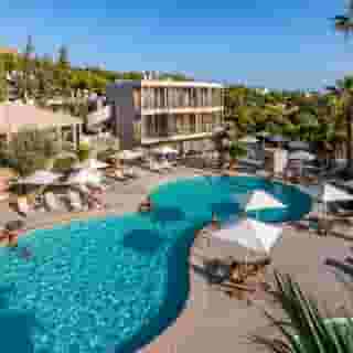 White Olive Premium Lindos, 1 of 5