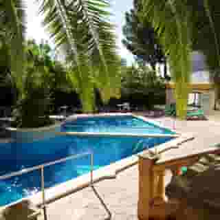 Flor Los Almendros, 3 of 5