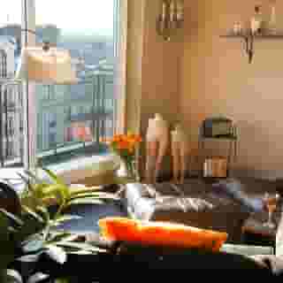 Le Chat Noir, 1 of 5