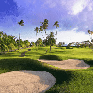 Magdalena Grand Beach Resort, 5 of 5