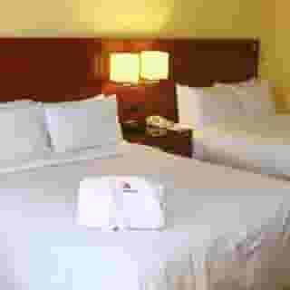 St. Petersburg Marriott Clearwater, 4 of 5