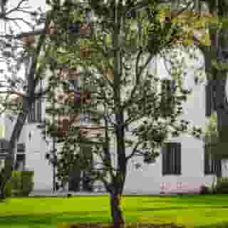 Villa Barbarich, 4 of 5