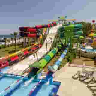 Crystal Flora Pearl Collection, 4 of 5