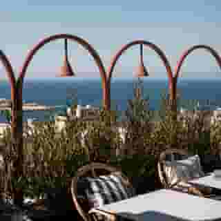 Rosselli Ax Privilege, 4 of 5