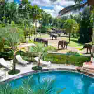 Mason Elephant Park and Lodge Gianyar Bali, 4 of 5