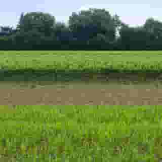 Green Garden Resort, 3 of 5