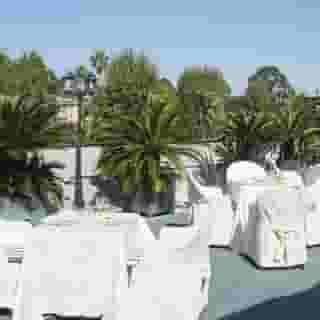 Del Real Orto Botanico, 6 of 6
