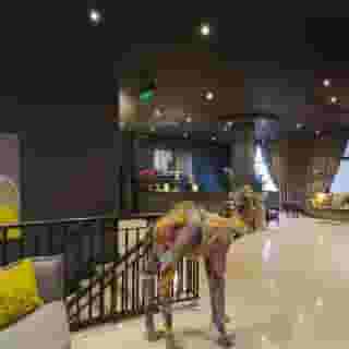 Limerick City Hotel, 4 of 5