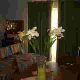 Cheerfulway Palmeiras de Santa Eulalia, 5 of 5