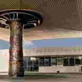 Pug Seal Anatole France, 3 of 5