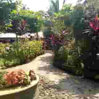 Primo Bom Terra Verde, 5 of 5