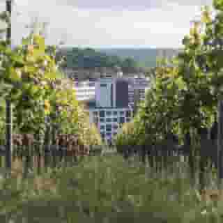 Holiday Inn - the niu, Form Stuttgart Feuerbach, 5 of 5