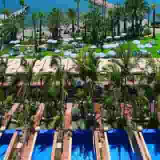 Amathus Beach, 1 of 5