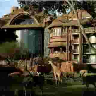 Disneys Animal Kingdom Lodge, 2 of 5