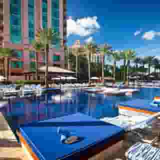 The Cove At Atlantis, 2 of 5