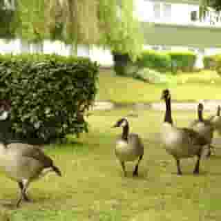 Holiday Inn Bristol - Filton, 4 of 5