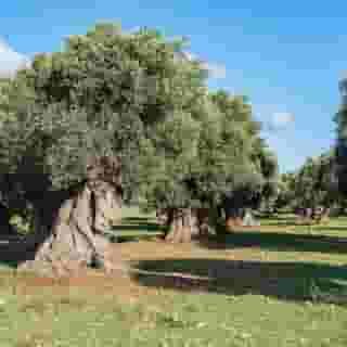 Matilda Hotel, 4 of 5