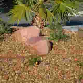 Howard Johnson by Wyndham Las Vegas near the Strip, 5 of 5