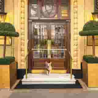 The Waldorf Hilton, London, 5 of 5