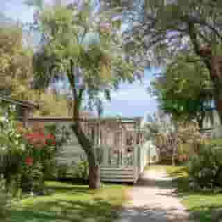 Club del Sole Stork Family Collection, 2 of 5