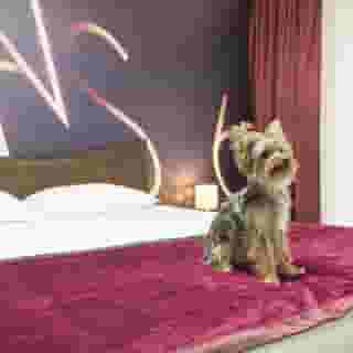 Hollywoodland Wellness & Spa Hotel, 4 of 5