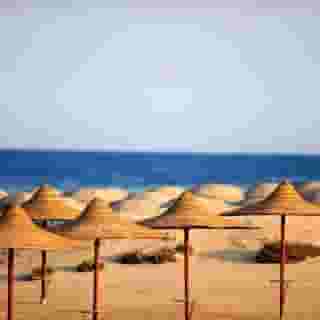 Gorgonia Beach, 3 of 5