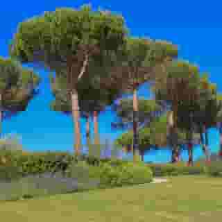 Cavarchino B&B, 1 of 5