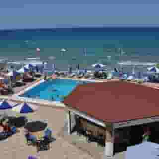 Cactus Mare -Adults Only, 5 of 5