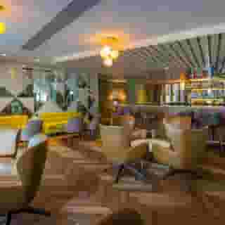 The Morrison Dublin, Curio Collection by Hilton, 6 of 6